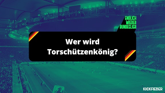 Bundesliga 202526 Torschuetzenkoenig