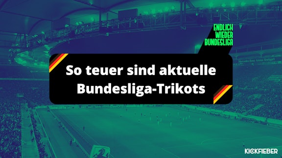 Bundesliga 2024 25 Trikotpreise
