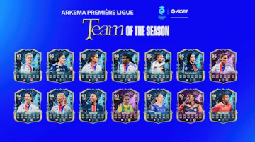 Arkema Team