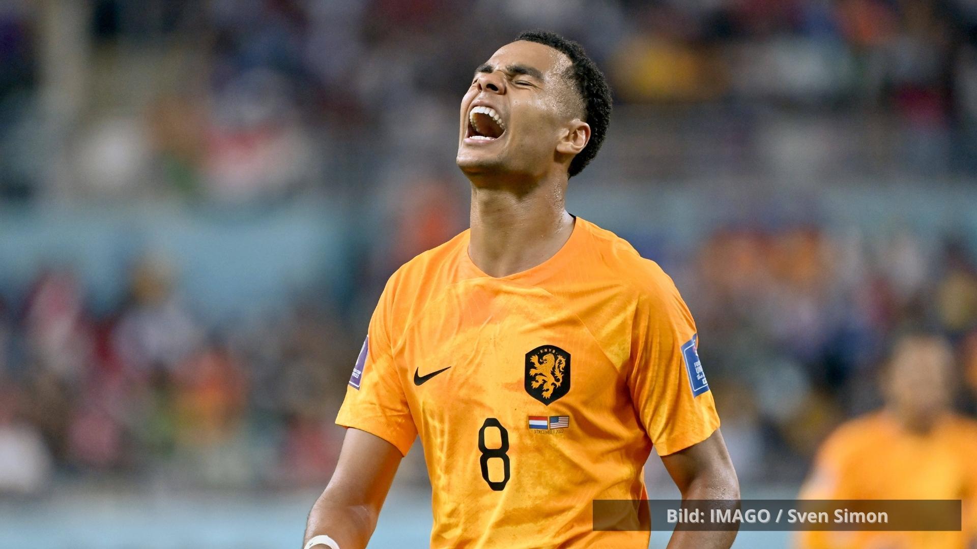 Wer ist Cody Gakpo? Ein Portrait zum Viertefinale Niederlande gegen Argentinien