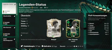 Icon Evo