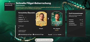 Schnelle Fluegel Beherrschung