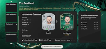 Torfestival