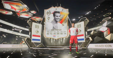 Van persie gross