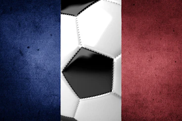 Frankreich ligue1