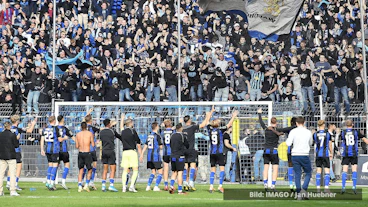 SV Waldhof Mannheim Jubel Fans