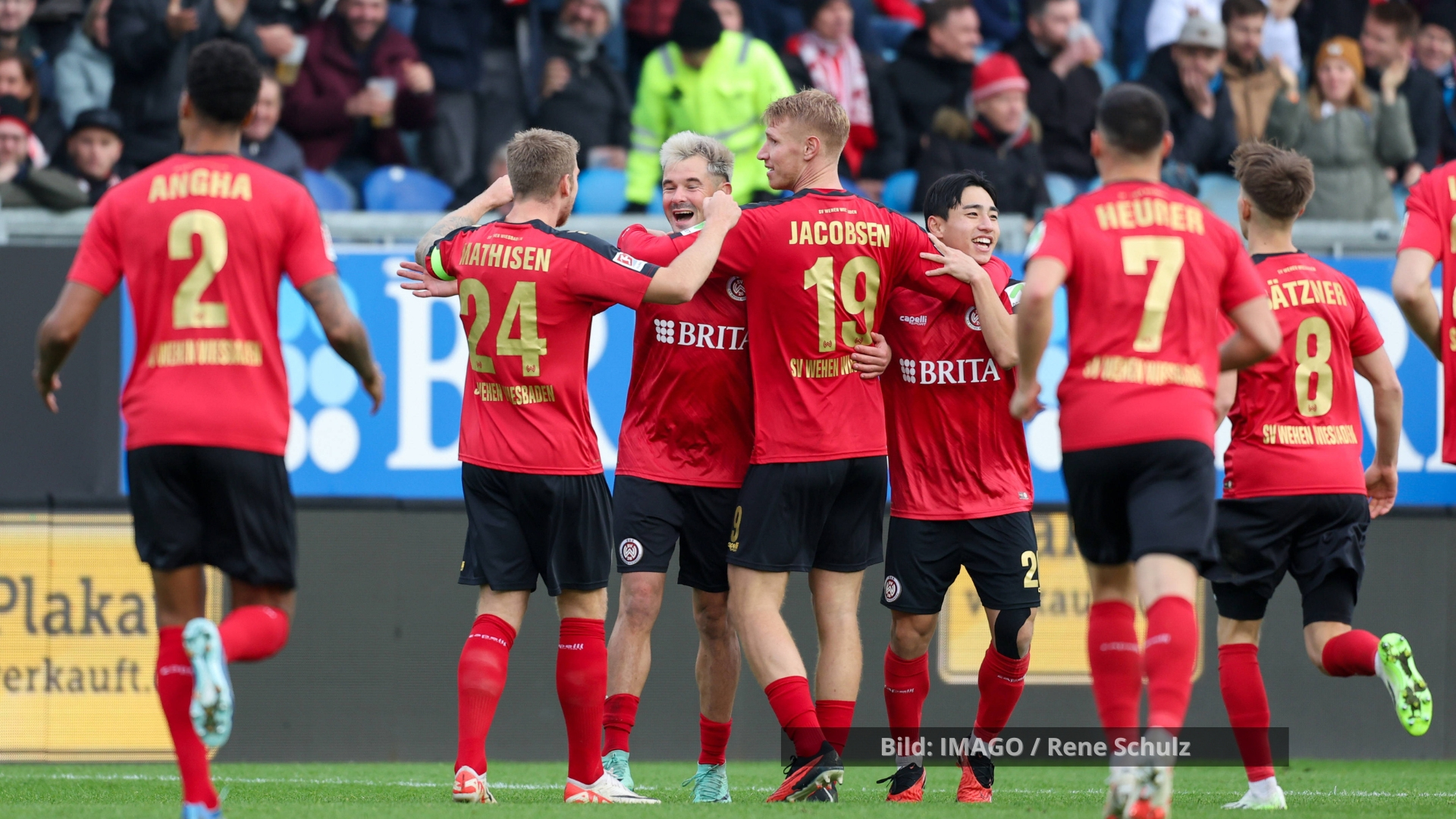 SV Wehen Wiesbaden - das Kollektiv als Stärke