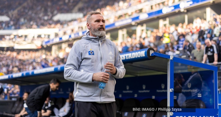 Hamburger SV – der steigende Druck auf Tim Walter