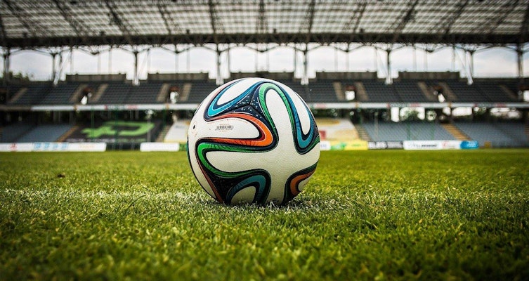 LänderspielFuchs