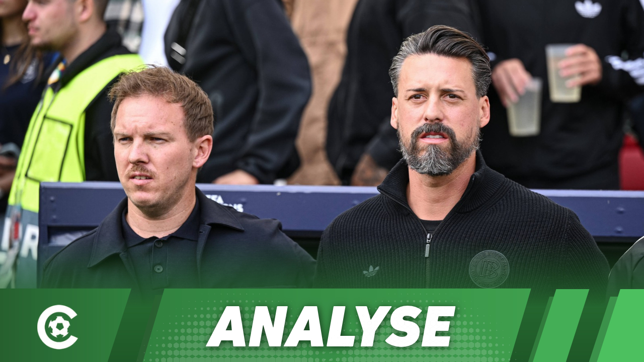 Analyse Julian Nagelsmann Sandro Wagner Trainer
