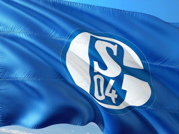 Bundesliga FC Schalke 04 1