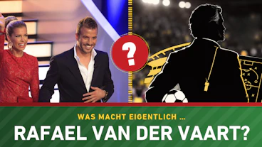 Was macht eigentlich Rafael van der Vaart