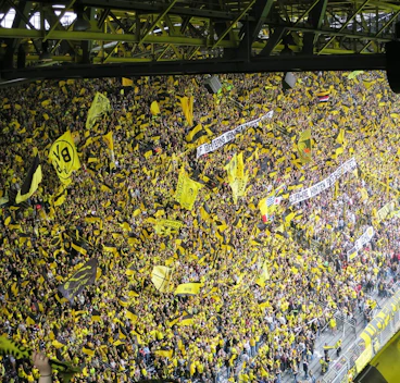 Football fans 797383 1280