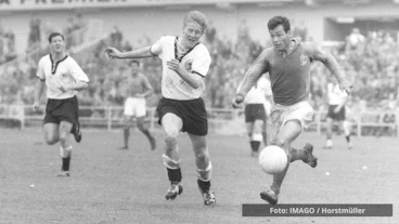 Just Fontaine Frankreich