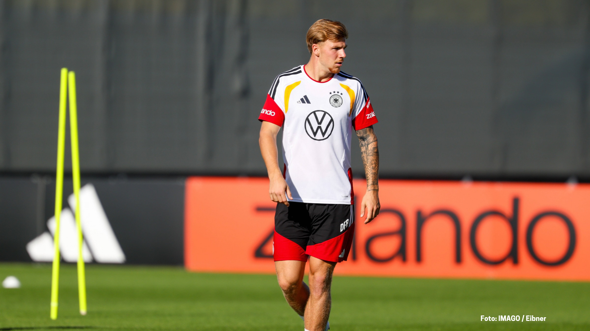 Finn Jeltsch beim DFB im September 2026