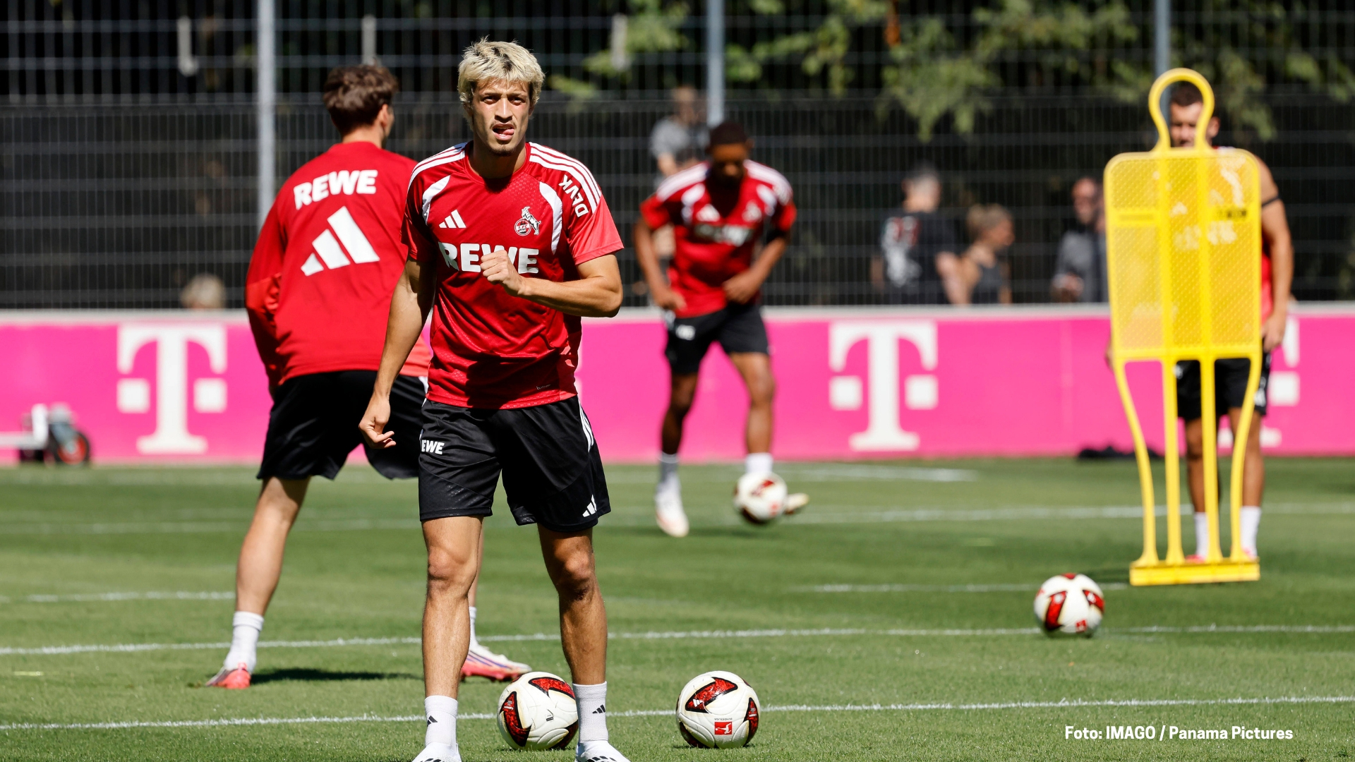 Der Junge aus dem Stadion | Gil Neves kehrt als Profi nach Köln zurück