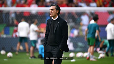 Vincenzo Montella Tuerkei EM 2024