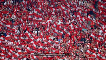 Oesterreich Fans EM 2024