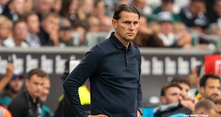 Borussia Mönchengladbach: Nach Seoane-Aus - wer führt das Team aus der Krise?