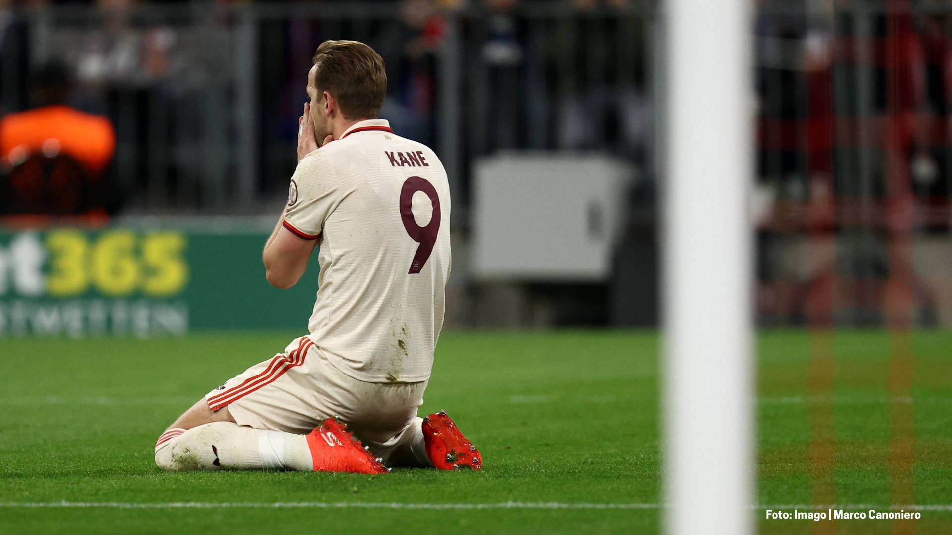 Braucht der FC Bayern diesen Sommer einen Backup für Harry Kane?