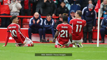 Nottingham Forest beim Jubel